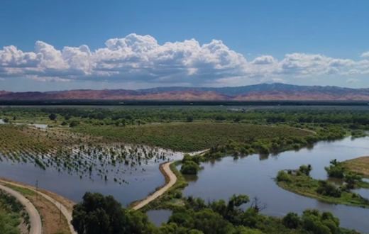 Photo of floodplain reconnection practice