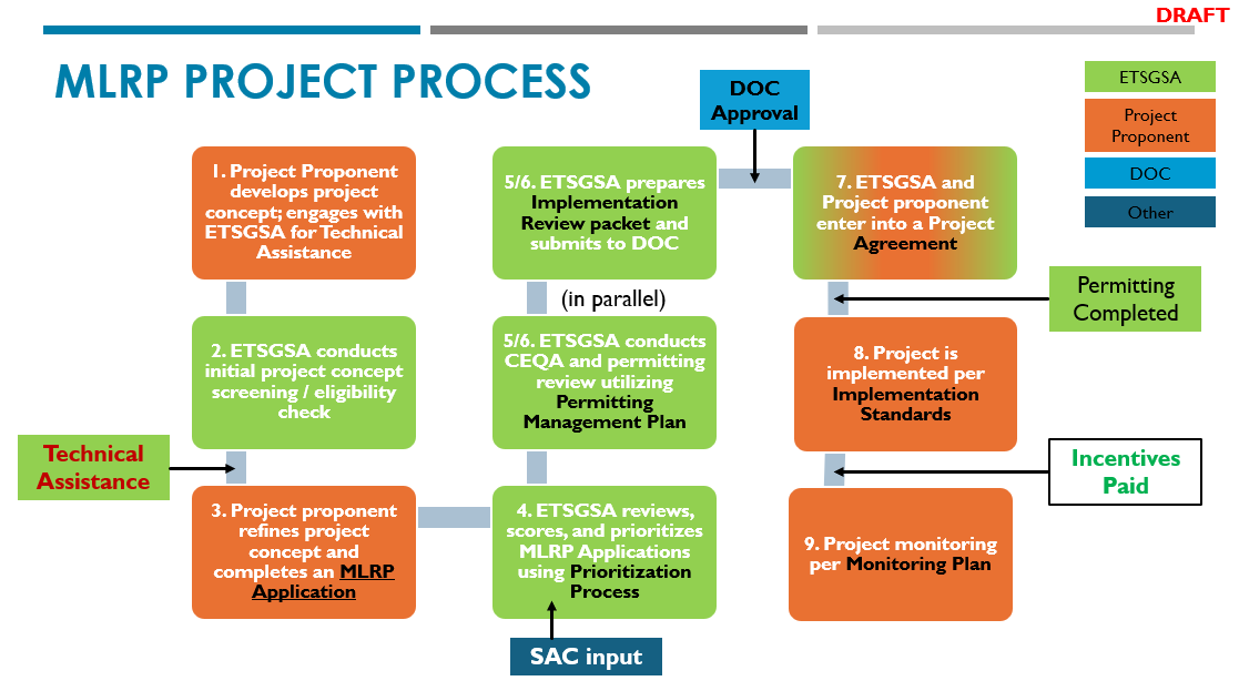 MLRP project process flowchart